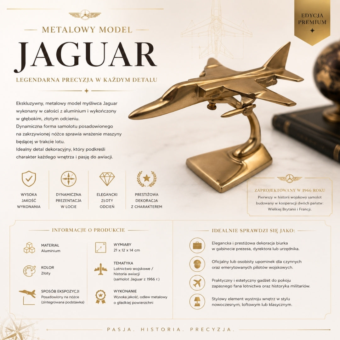 Metal Jaguar Fighter Jet Model Gift for a Pilot – JAG