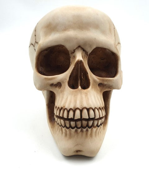 Decorative Skull Figurine 15 cm - MC-30685