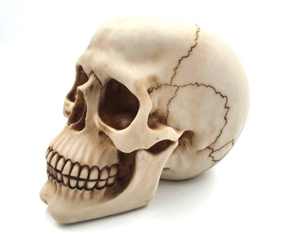 Decorative Skull Figurine 15 cm - MC-30685