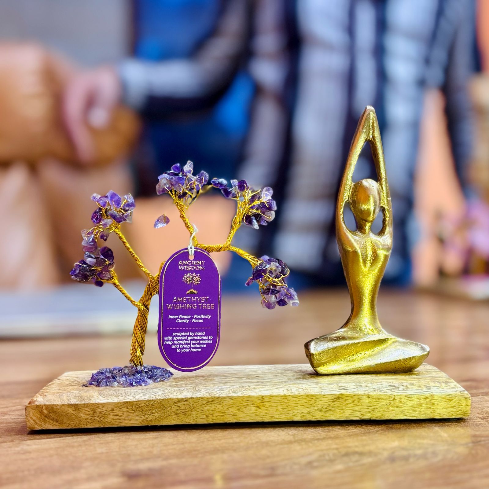 Gemstone Yoga Garden with Sukhasana Pose and Amethyst