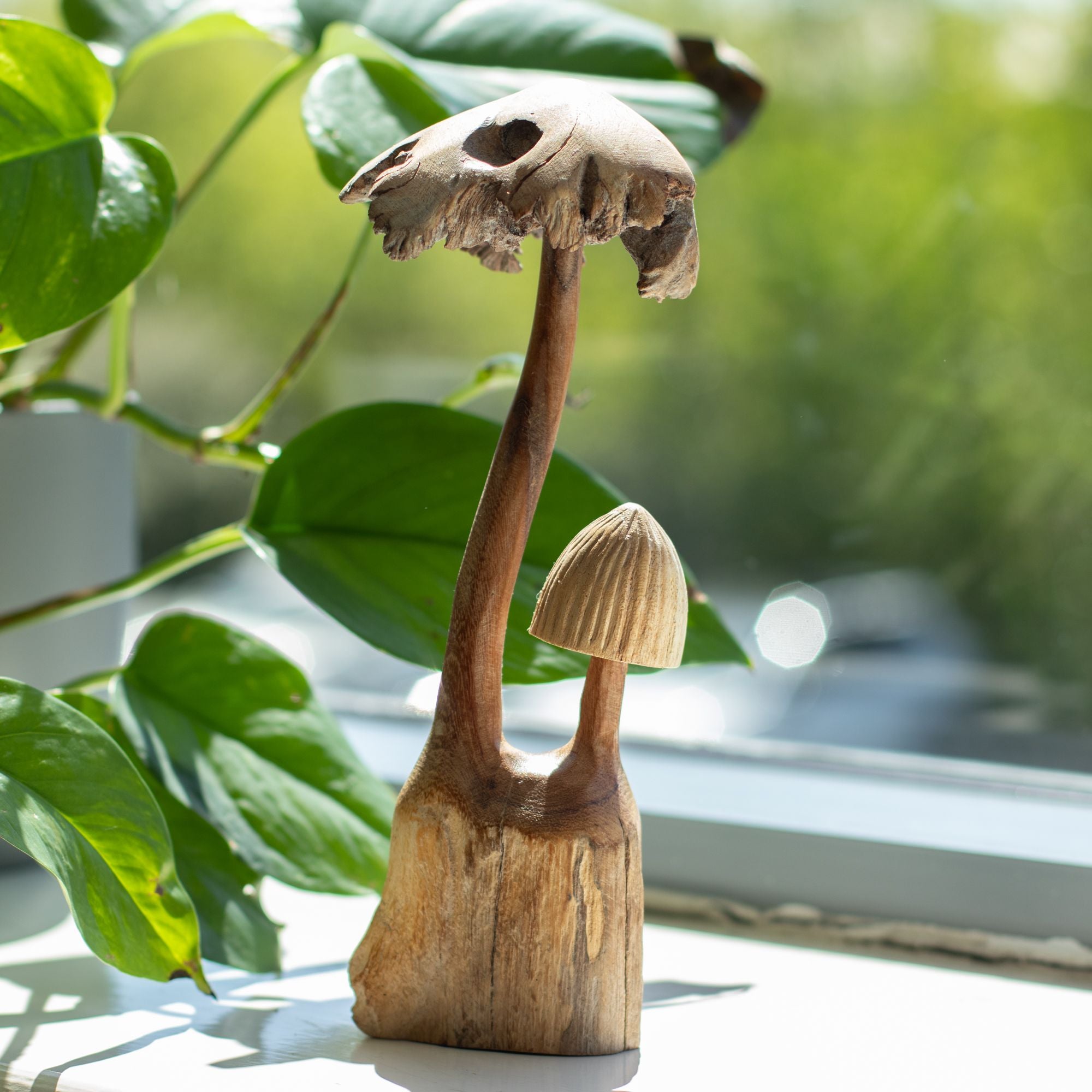 Handmade Sculpture from Parasitic Wood