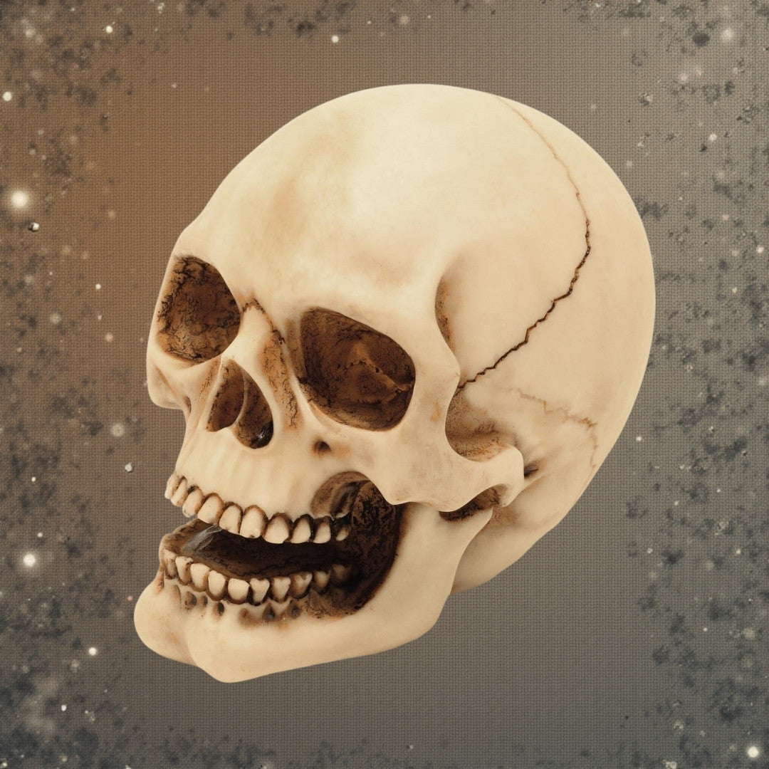 10 cm Skull Figurine with Custom Engraving – Hand-Painted Polyresin Gothic and Dark Style Decoration Gift