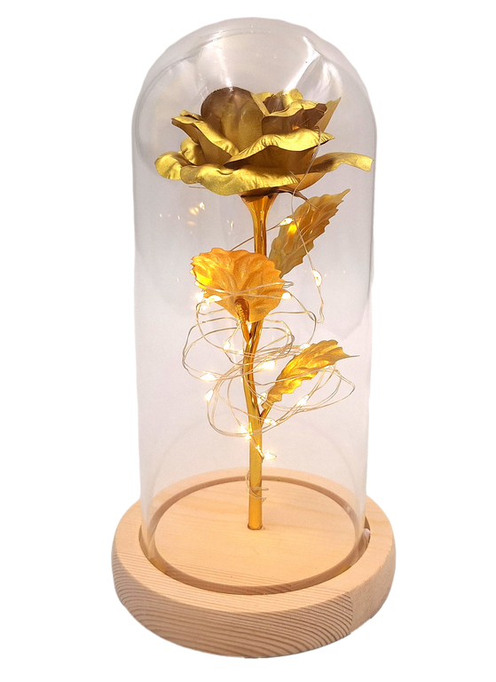 Rose Night Light - LED - G116