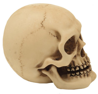 Skull Figurine Model Decoration Halloween Gadget Gift - MC-30683