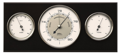 Fischer Weather Station - 9103S-06