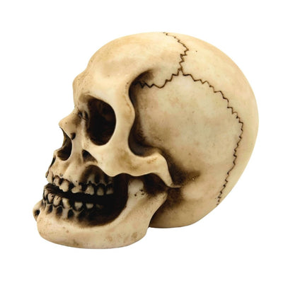 Skull Figurine Model Decoration Halloween Gadget Gift - MC-30683