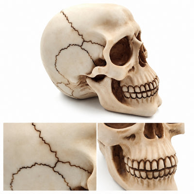 Decorative Skull Figurine 15 cm - MC-30685