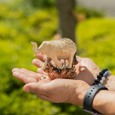 Hand-Carved Elephant Figurine from Parasitic Wood
