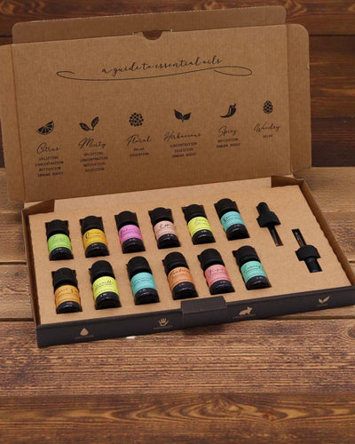 Summer Energy of Nature – Luxury Set of 12 Essential Oils 5 ml with Droppers