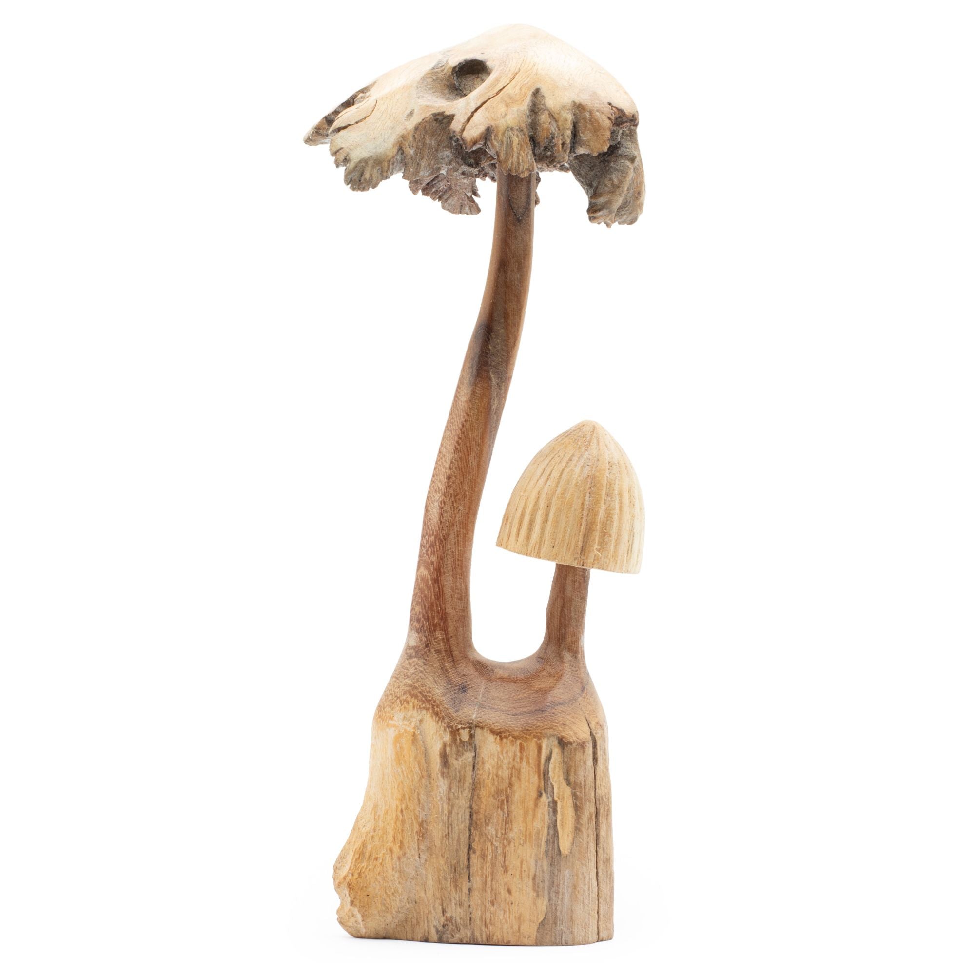 Handmade Sculpture from Parasitic Wood