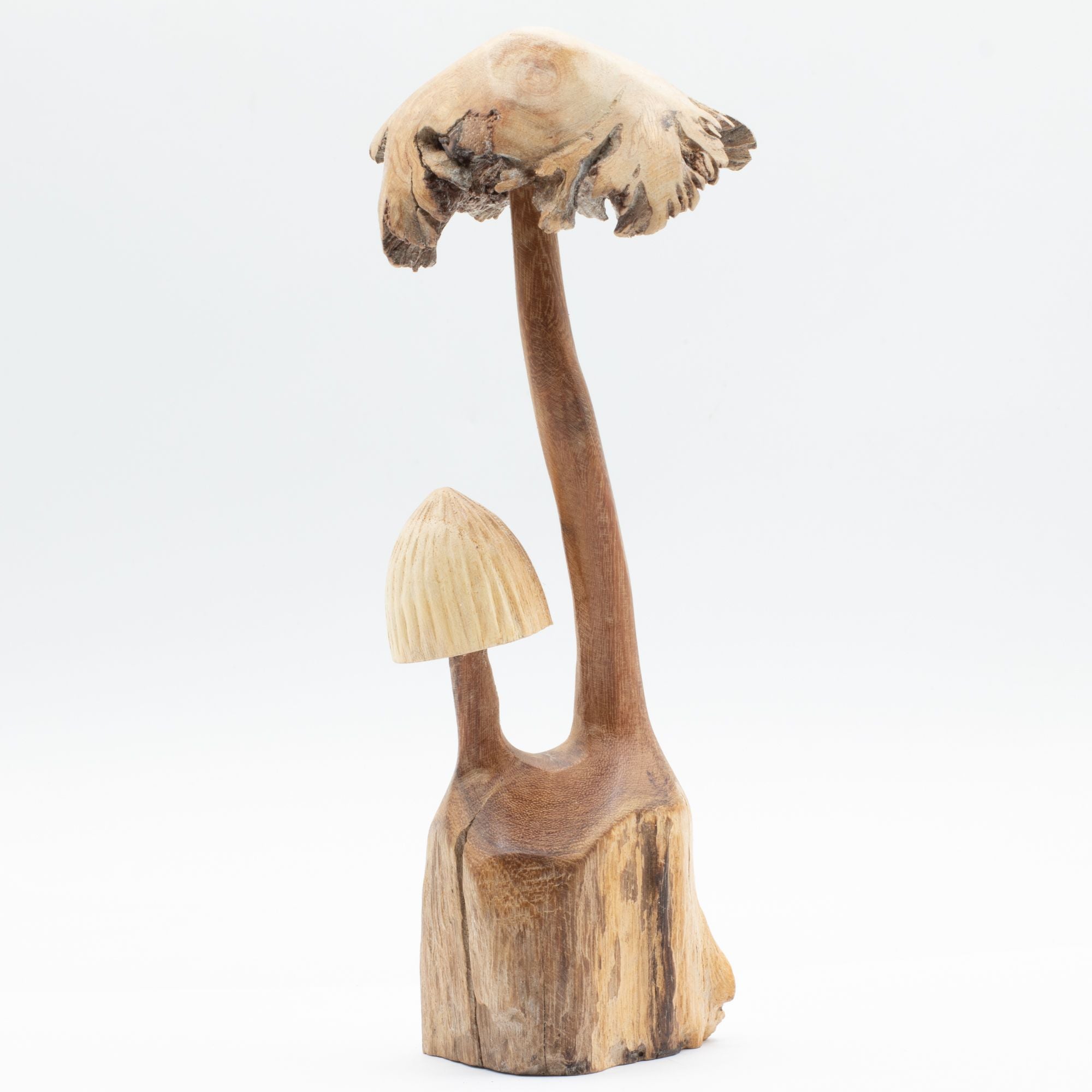 Handmade Sculpture from Parasitic Wood