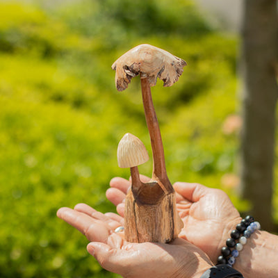 Handmade Sculpture from Parasitic Wood