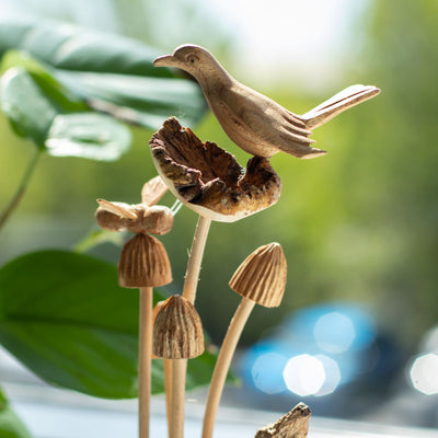 Sculpture from Parasitic Wood