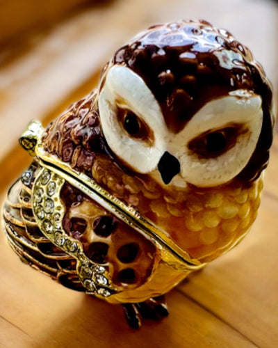 Charming Owl with Crystals - Jewelry Box with Custom Engraving Option, Gift