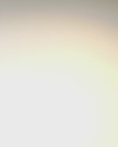 Creative Metal Bookmark Retro Vintage Bookmark - Feather and Butterfly in Baroque Style