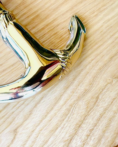 Hand-Carved Travel Cane for Walking "Royal Wanderer" in Brown with Gold Embellishments