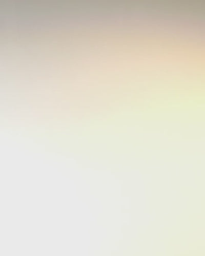 "Royal Roar" Square Shoulder Bag with Lion Head